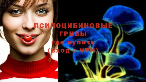 МДМА Богородск
