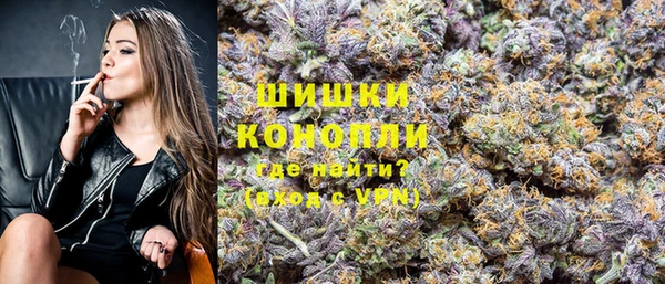 гидропоника Анжеро-Судженск